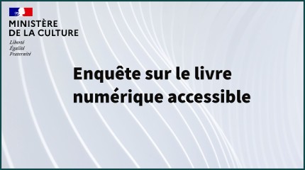 enquete_livre_numerique_accessible.jpg