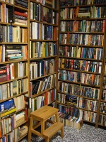 atelier_librairie_pointdetape.jpg
